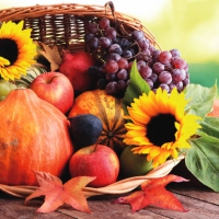 Servietten 33x33 cm - Thanksgiving Dinner