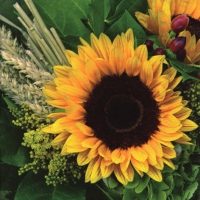 Servietten 33x33 cm - Sunflower with Straw