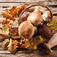 Servietten 33x33 cm - Ceps Harvest
