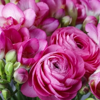 Servietten 33x33 cm - Pink Freesia & Persian Buttercup Servietten 33x33 cm - Pink Freesia & Persian Buttercup