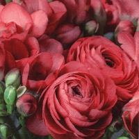 Servietten 33x33 cm - Freesia & Persian Buttercup red