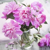 Servietten 33x33 cm - Peonias Rosas