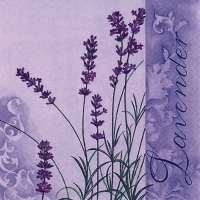 Servietten 33x33 cm - Scent of Lavender Servietten 33x33 cm - Scent of Lavender
