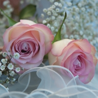 Servietten 33x33 cm - Ambiance Romantique Servietten 33x33 cm - Ambiance Romantique