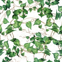 Servietten 33x33 cm - Green Ivy Branches