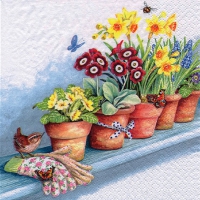 Servietten 33x33 cm - Windowsill with Flower Pots Servietten 33x33 cm - Windowsill with Flower Pots