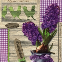 Servietten 33x33 cm - Lilac Hyacinthus Servietten 33x33 cm - Lilac Hyacinthus