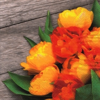 Servietten 33x33 cm - Colorful Bouquet of Tulips Servietten 33x33 cm - Colorful Bouquet of Tulips