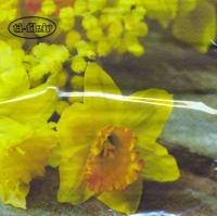 Servietten 33x33 cm - Daffodil on wooden Table Servietten 33x33 cm - Daffodil on wooden Table