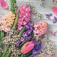 Servietten 33x33 cm - Jacinthes rucio