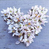 Servietten 33x33 cm - Snowdrop Heart