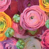 Servietten 33x33 cm - Ranunculus Servietten 33x33 cm - Ranunculus