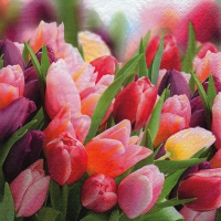 Servietten 33x33 cm - Pink & Violet Tulips Servietten 33x33 cm - Pink & Violet Tulips