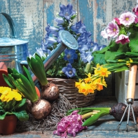 Servietten 33x33 cm - Jardinage en Printemps Servietten 33x33 cm - Jardinage en Printemps