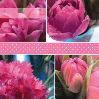 Servietten 33x33 cm - Tulipes Roses pink Servietten 33x33 cm - Tulipes Roses pink
