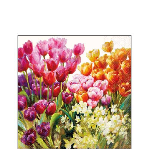 Servietten 25x25 cm - Tulips