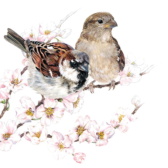 Servietten 33x33 cm - Sparrows Blossom