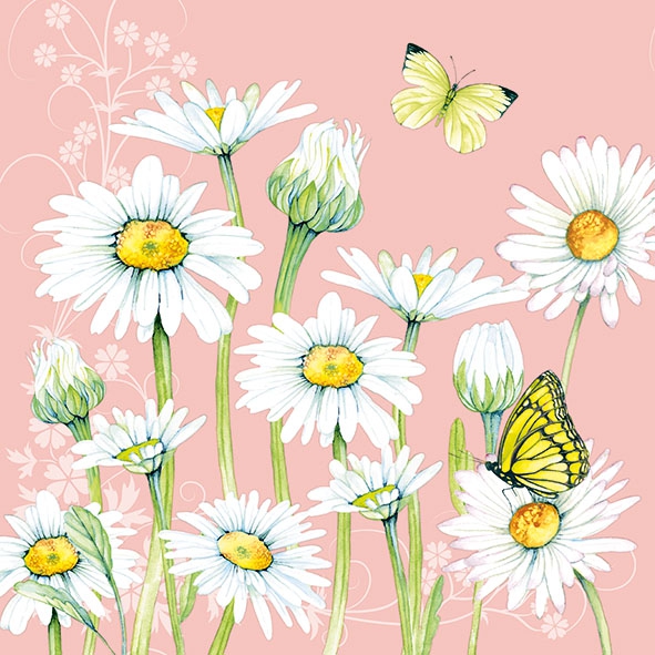 Servietten 33x33 cm - Daisy Coral, Margeriten, Magariten, Schmetterlinge, Blumen, Tiere Servietten 33x33 cm - Daisy Coral