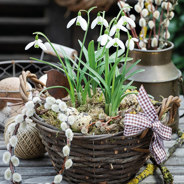 Servietten 33x33 cm - Snowdrops In Basket