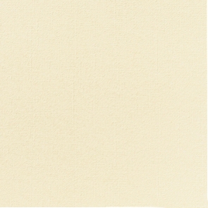 Dunisoft Servietten 40x40 cm - cream