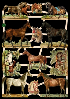 Glanzbilder - Pferde