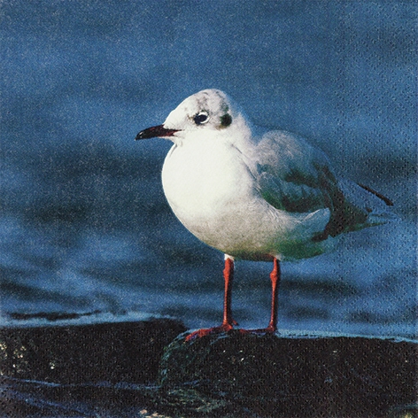 Servietten 33x33 cm - Freedom