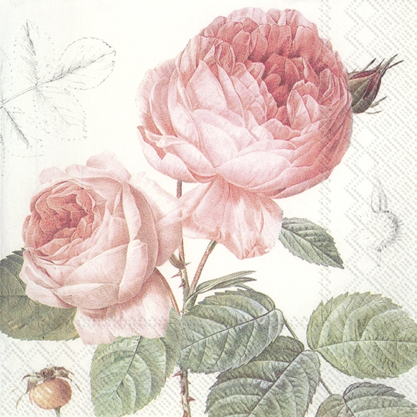 Servietten 25x25 cm - ELISABETH