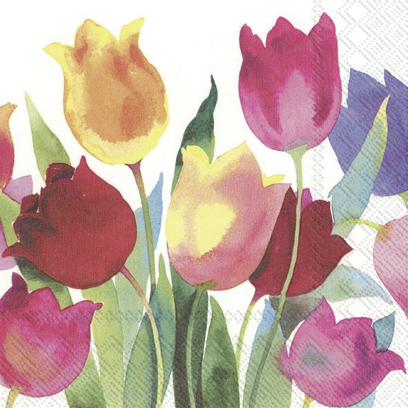 Servietten 25x25 cm - POWERFUL TULIPS