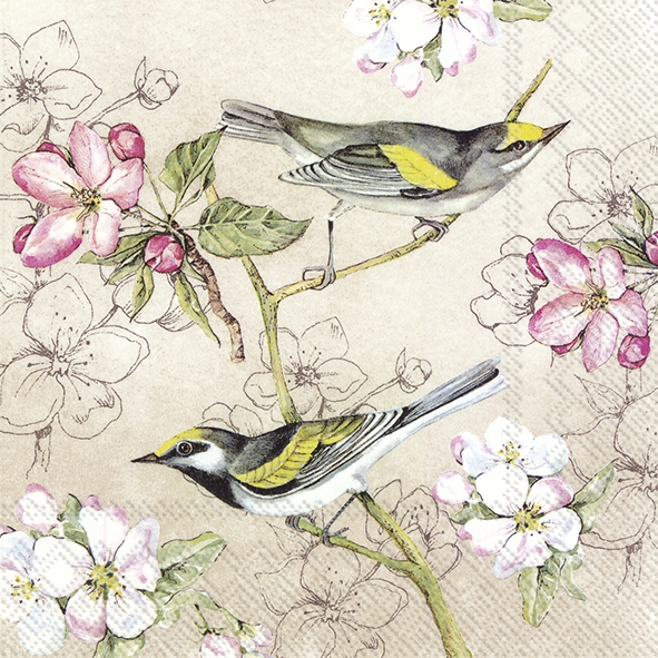Servietten 33x33 cm - BIRDS SYMPHONY cream