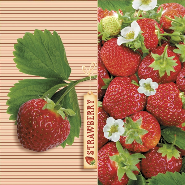 Servietten 33x33 cm - Delicious Strawberries with Ticket
