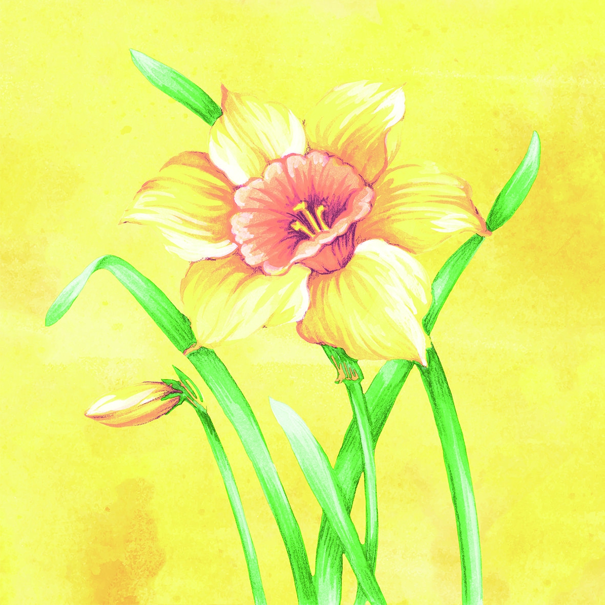 Linclass Servietten 40x40 cm - Elvira