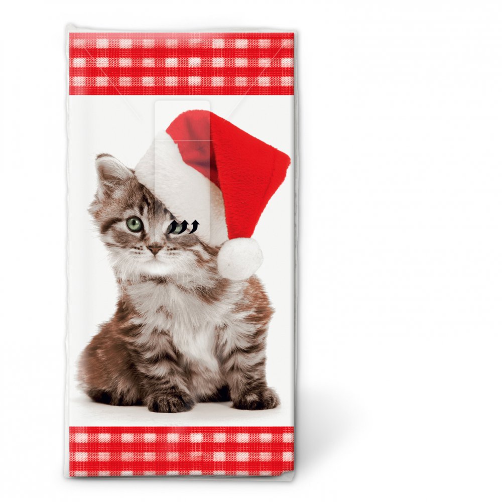 Taschentücher - Santa kitty