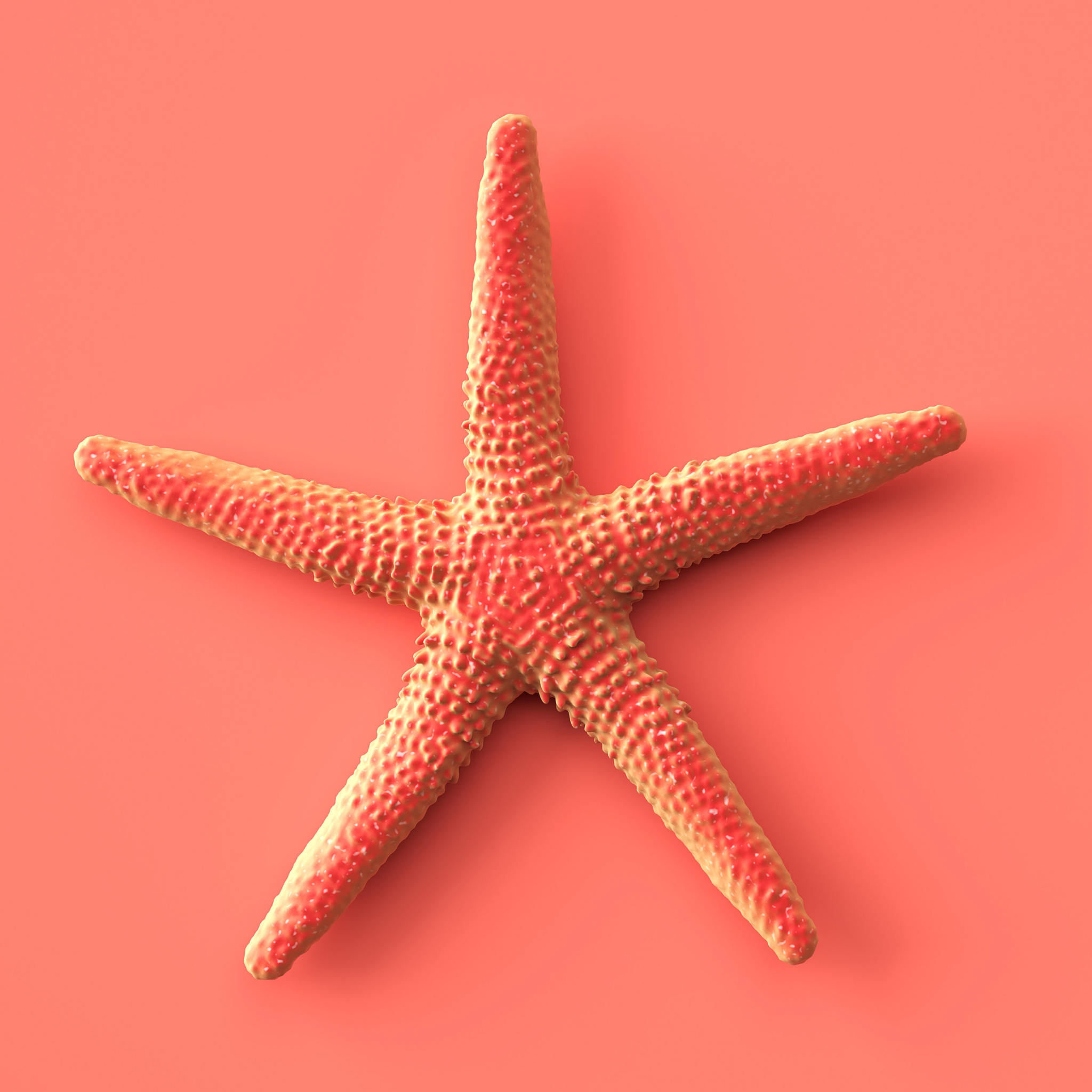 Servietten 33x33 cm - Star Coral