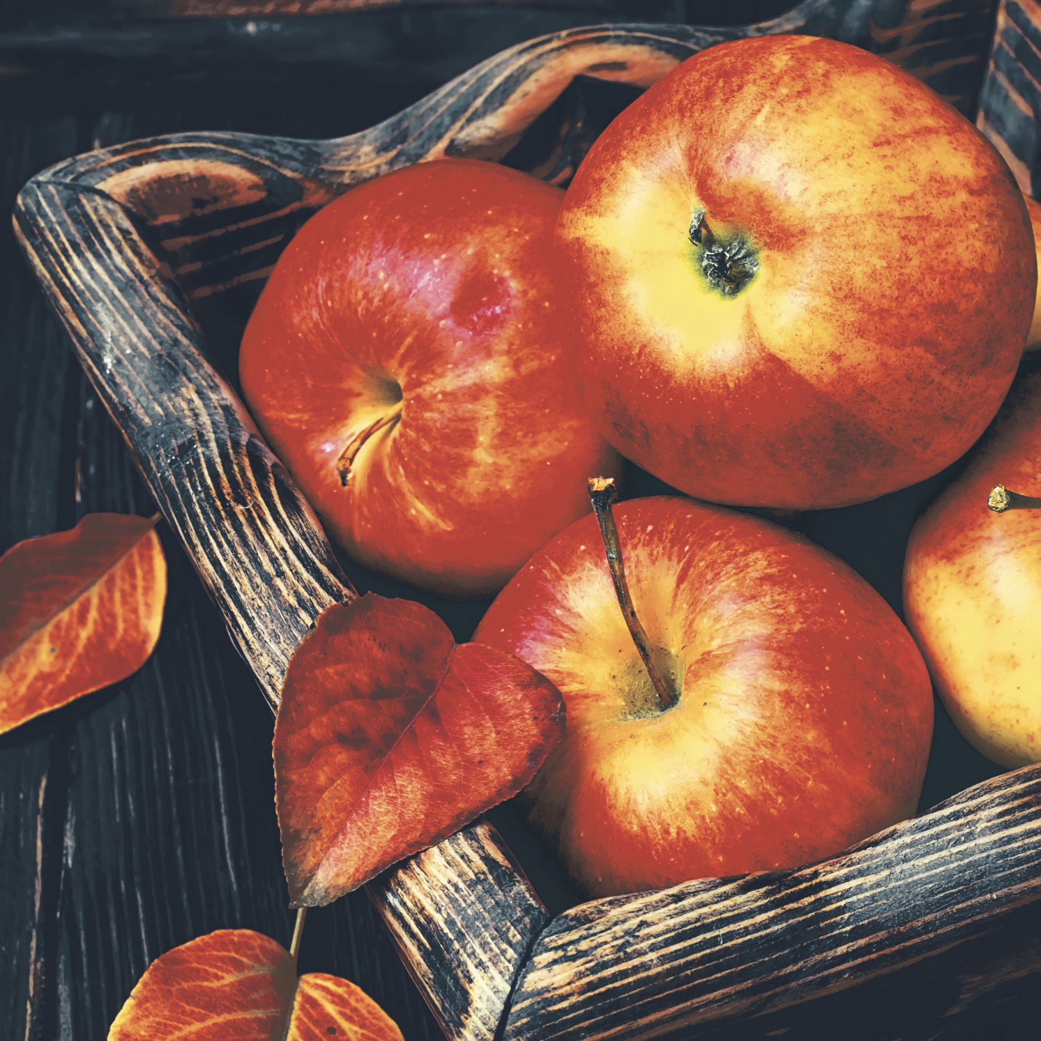 Servietten 24x24 cm - Apple time