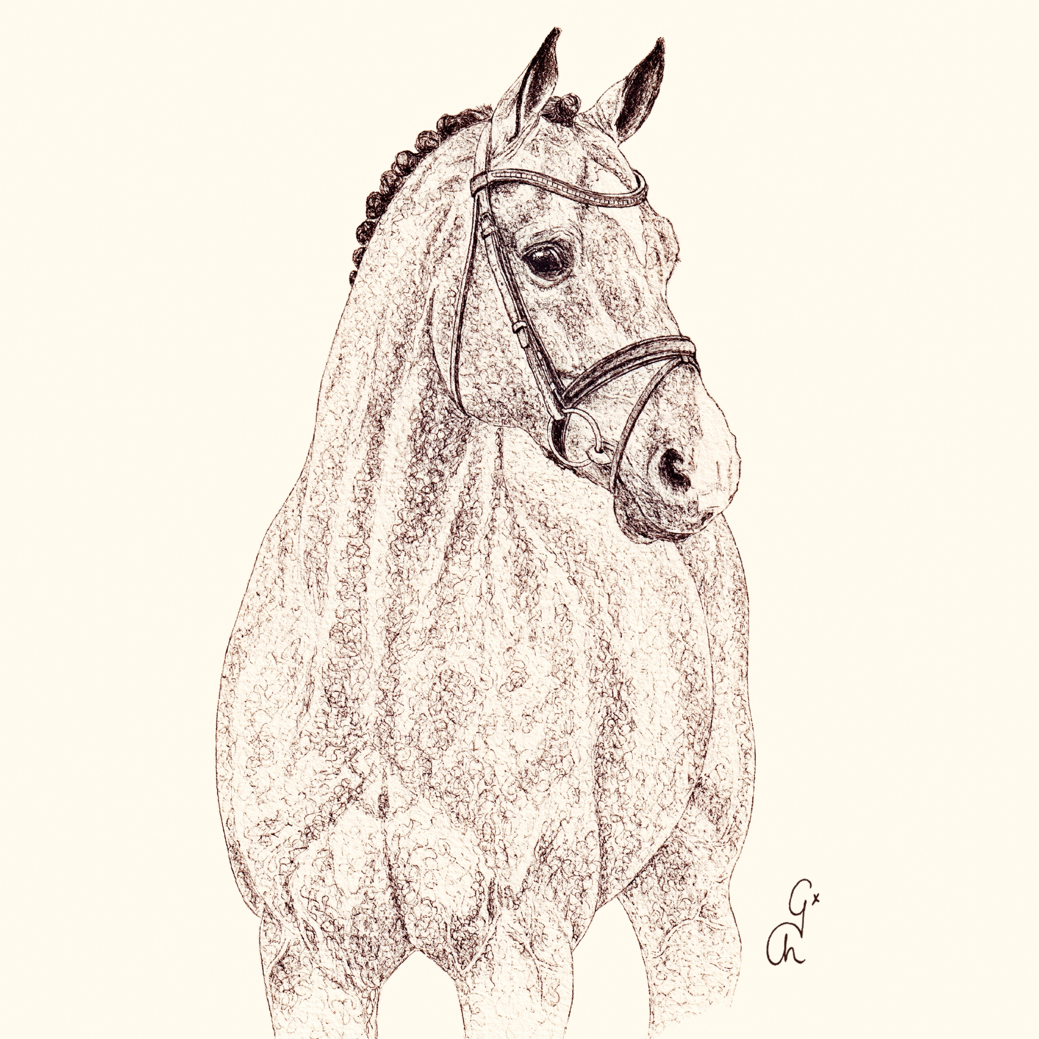 Servietten 25x25 cm - Catoki