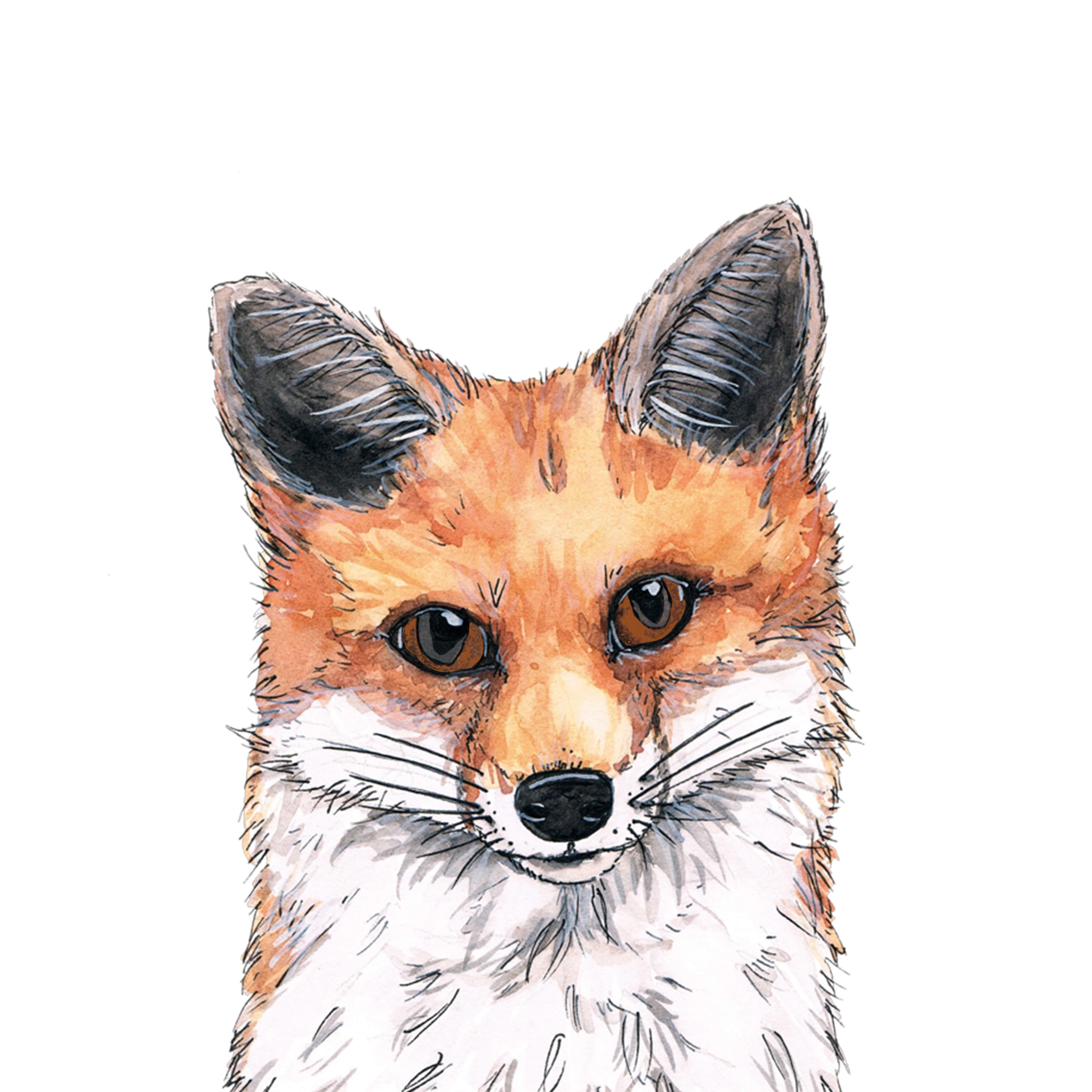 Servietten 25x25 cm - Fox
