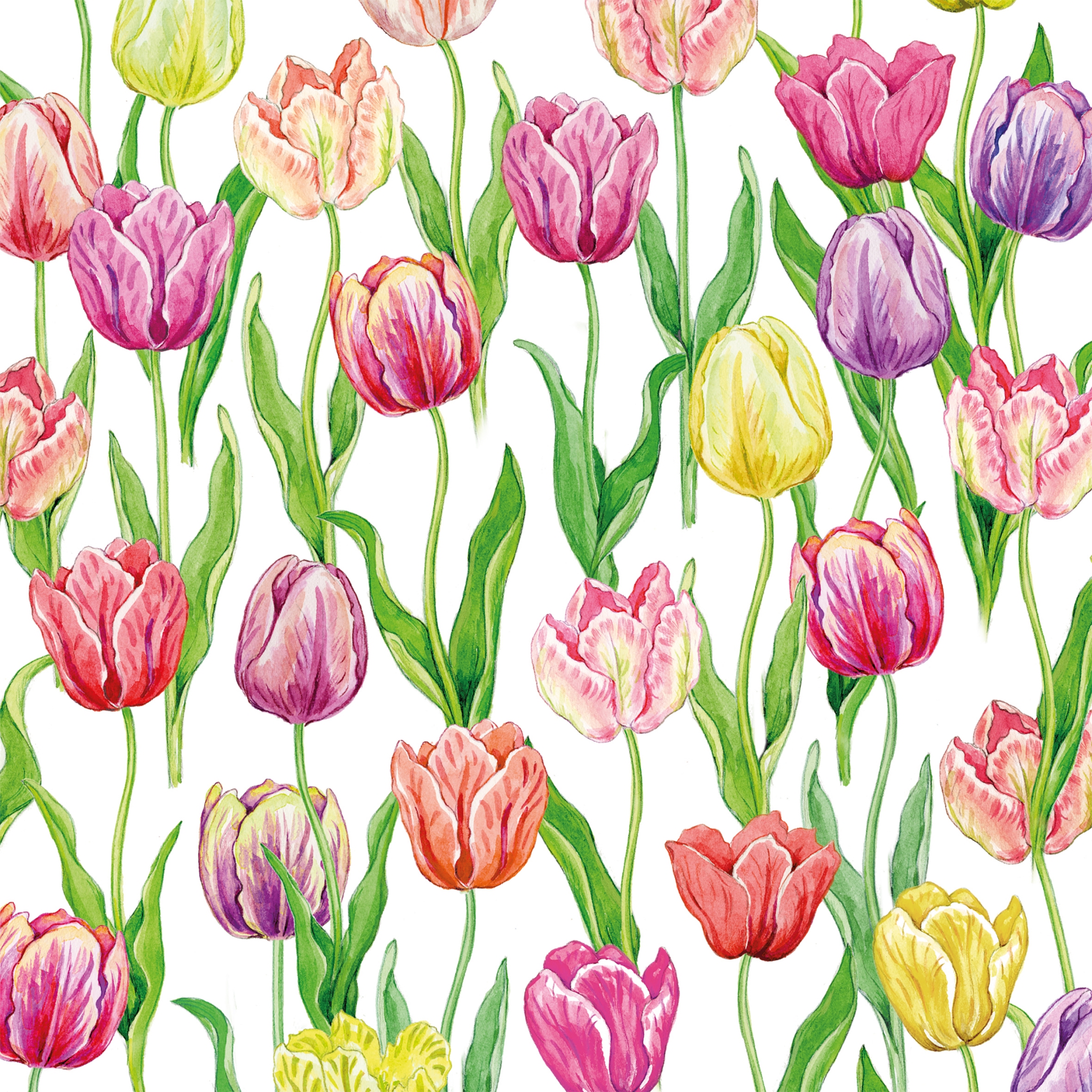 Servietten 33x33 cm - Tulip Flush 