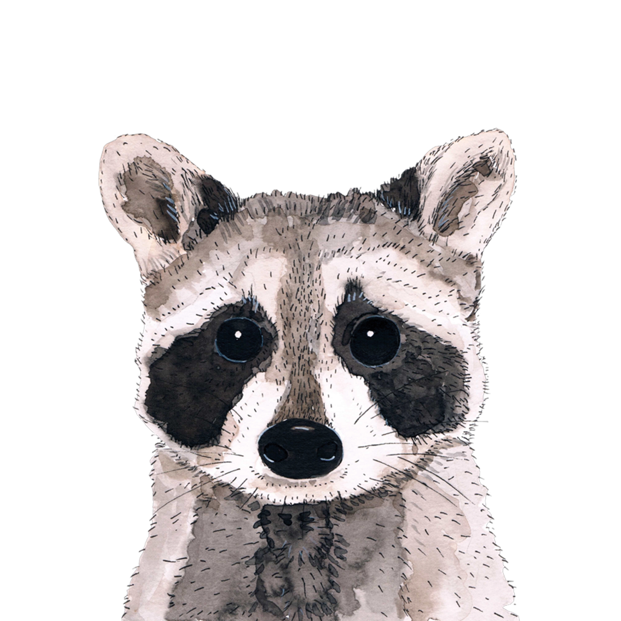 Servietten 33x33 cm - Raccoon