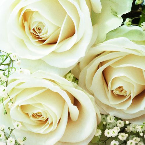 20 Servietten 33x33 cm - Royal Flower 