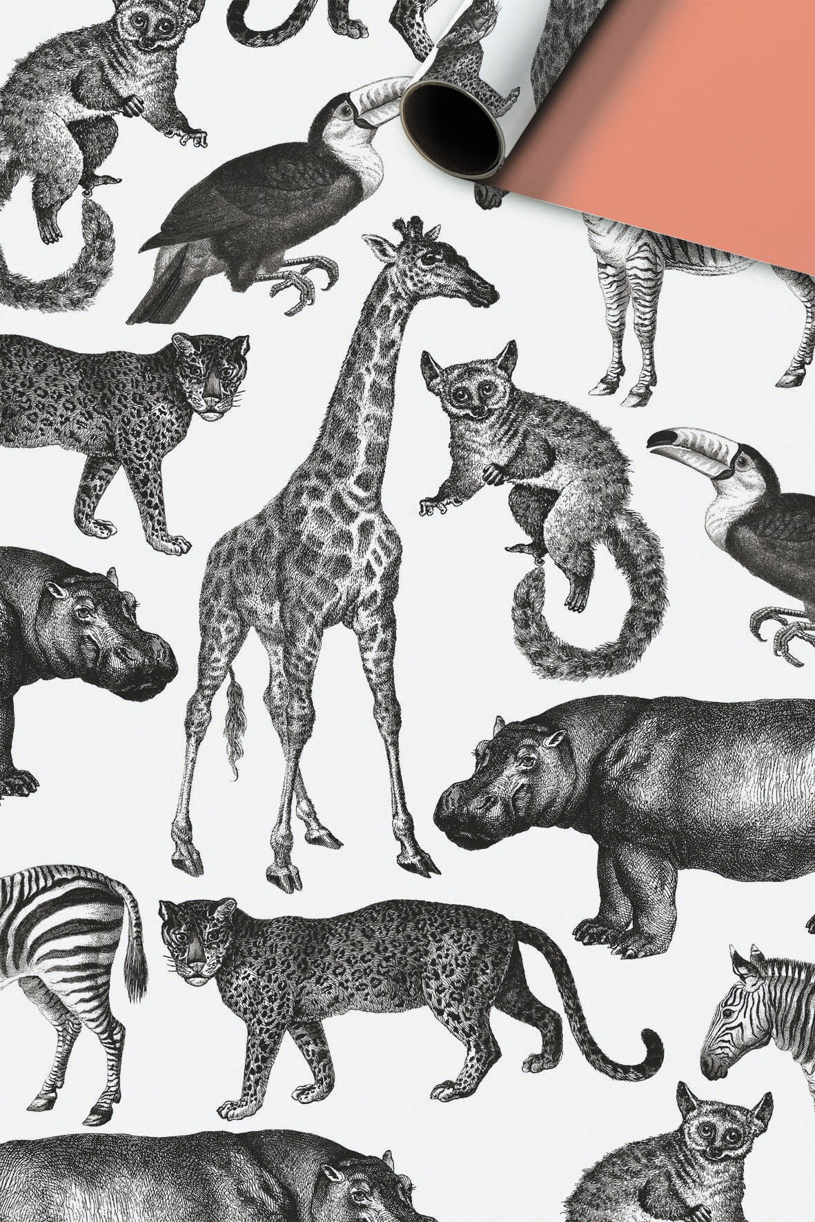 Geschenkpapier beschichtet - Zimo