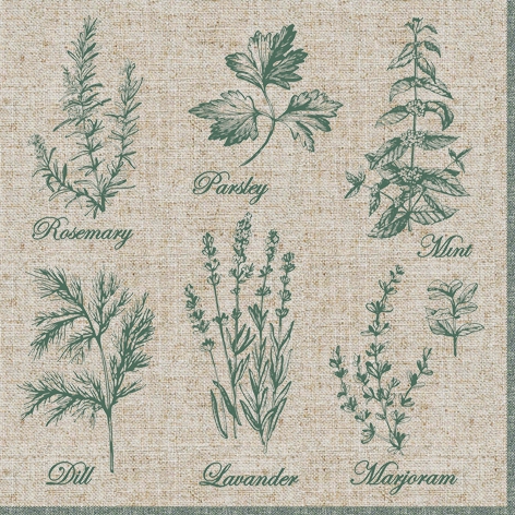 Servietten 33x33 cm - Fragrant Herbs