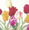Servietten 25x25 cm - TULIPS white