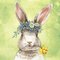 Servietten 33x33 cm - EASTERFRIENDS BUNNY green