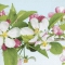 Servietten 33x33 cm - Apple blossom Servietten 33x33 cm - Apple blossom