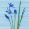 Servietten 33x33 cm - Blue Flowers Servietten 33x33 cm - Blue Flowers