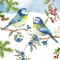 Servietten 33x33 cm - Blue Birds